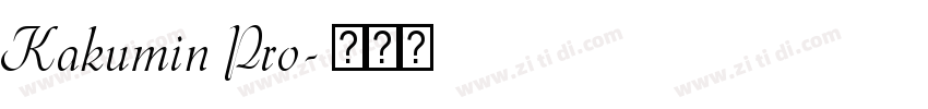 Kakumin Pro字体转换